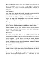 Referāts 'Celtniecība un būvdarbi', 8.