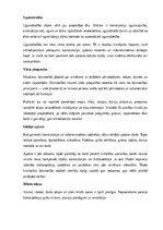 Referāts 'Celtniecība un būvdarbi', 11.