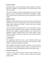 Referāts 'Celtniecība un būvdarbi', 16.