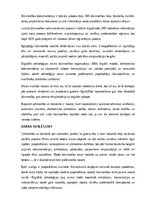 Referāts 'Celtniecība un būvdarbi', 24.