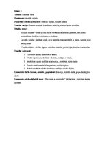 Konspekts 'Aktīvā prakse sākumskolā integrētajā mācībā', 2.