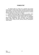 Referāts 'Cietuma administrācijas darbības pamati un uzdevumi', 13.