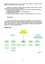 Referāts 'Tūrisma politika un pārvalde Tanzānijā', 4.