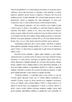 Eseja 'Gaisa kuģu nesagraujošā testēšana', 3.