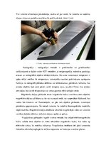 Eseja 'Gaisa kuģu nesagraujošā testēšana', 4.