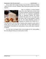 Referāts 'Francijas lepnums - Šartra', 12.