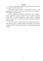 Referāts 'Pasākuma "Vecmeitu ballīte" analīze', 3.