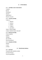 Referāts 'Pasākuma "Vecmeitu ballīte" analīze', 7.