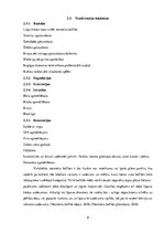 Referāts 'Pasākuma "Vecmeitu ballīte" analīze', 9.