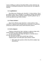 Biznesa plāns 'Biznesa plāns', 11.