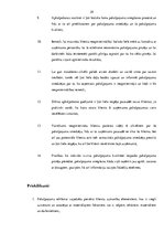 Referāts 'Pakalpojumu kvalitāte', 29.