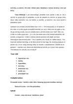 Referāts 'Korporatīvās kultūras klasifikācija: vara, darbība, uzvedība un indivīds', 6.