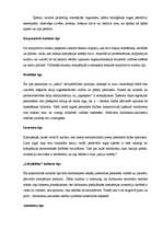 Referāts 'Korporatīvās kultūras klasifikācija: vara, darbība, uzvedība un indivīds', 7.