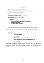 Referāts 'Efektīvākie ēku siltināšanas paņēmieni Latvijas apstākļiem', 23.