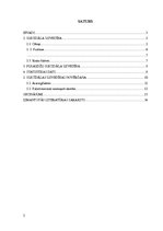 Referāts 'Suicīds, suicidāla uzvedība', 2.