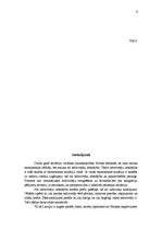 Referāts 'Iekšzemes kopprodukts', 9.