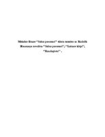 Referāts 'Mākslas filmas "Salna pavasarī" sižeta sasaiste ar R.Blaumaņa novelēm "Salna pav', 1.