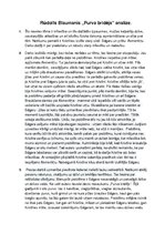 Konspekts 'Rūdolfs Blaumanis "Purva bridējs"', 1.