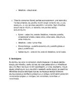 Konspekts 'Raiņa un Aspazijas dzejoļu analīze', 4.