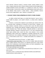 Referāts 'Publisko tiesību līgumu nozīme valsts pārvaldes realizācijā', 6.