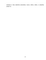 Referāts 'Publisko tiesību līgumu nozīme valsts pārvaldes realizācijā', 20.