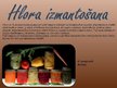 Prezentācija 'Hlors', 10.