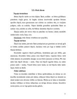 Referāts 'Krustības', 11.