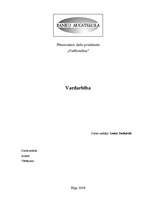 Referāts 'Vardarbība', 1.