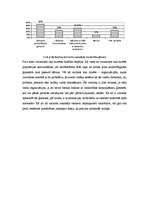 Referāts 'Vardarbība', 10.