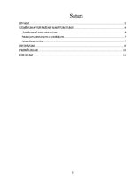 Prakses atskaite 'Prakse uzņēmumā "Akay Travel Service"', 2.