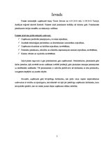 Prakses atskaite 'Prakse uzņēmumā "Akay Travel Service"', 3.