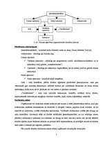 Prakses atskaite 'Prakse uzņēmumā "Akay Travel Service"', 5.