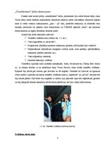 Prakses atskaite 'Prakse uzņēmumā "Akay Travel Service"', 6.