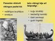 Prezentācija 'Vikingu laikmets', 4.