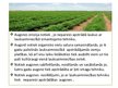 Prezentācija 'Lauksaimniecības mehanizācija un ar to saistītās ekoloģiskās problēmas', 10.