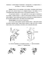 Referāts 'Maiņstrāvas kontaktori', 3.