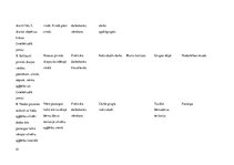 Prakses atskaite 'Aktīvā mācību un audzināšanas prakse pirmsskolā', 41.