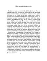 Referāts 'Krāsu izmantojums latviešu tautasdziesmās', 12.