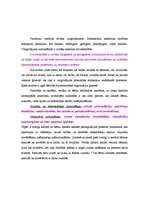 Konspekts 'Attieksmju veidi', 2.