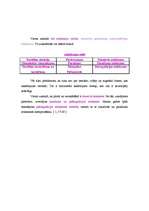 Konspekts 'Attieksmju veidi', 3.