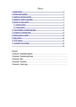 Biznesa plāns 'Biznesa plāns uzņēmumam "Munzan"', 1.