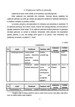 Biznesa plāns 'Biznesa plāns uzņēmumam "Munzan"', 6.