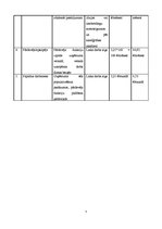 Biznesa plāns 'Biznesa plāns uzņēmumam "Munzan"', 7.