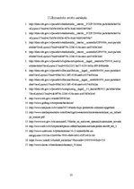 Biznesa plāns 'Biznesa plāns uzņēmumam "Munzan"', 22.