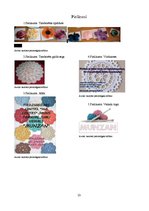 Biznesa plāns 'Biznesa plāns uzņēmumam "Munzan"', 23.