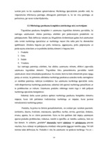 Diplomdarbs 'Netradicionālā mārketinga loma mūsdienu uzņēmumā', 14.