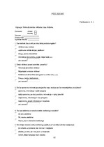 Diplomdarbs 'Netradicionālā mārketinga loma mūsdienu uzņēmumā', 62.