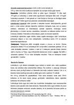 Konspekts 'Lielbritānijas ekonomikas raksturīgās iezīmes un attīstības perspektīvas. Īrijas', 4.