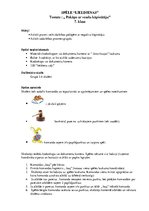 Prezentācija 'Pakāpes ar negatīvu kāpinātāju. Spēle', 1.