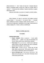 Prakses atskaite 'Prakse z/s "Bračas"', 17.